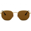 Gold/Polarized B-15 Brown  + $20.00 