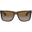 Rubber Havana/Polarized Grey Gradient Brown  + $20.00 