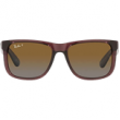 Transparent Dark Brown/Gradient Brown Polarized  + $20.00 