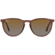 Transparent Dark Brown/Polarized Brown Gradient  + $20.00 