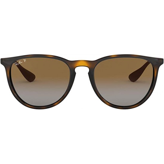 Ray-Ban RB4171 Erika Round Sunglasses