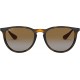 Ray-Ban RB4171 Erika Round Sunglasses