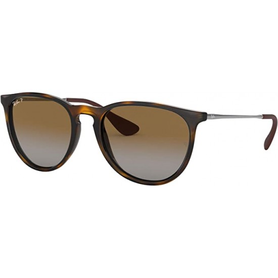 Ray-Ban RB4171 Erika Round Sunglasses