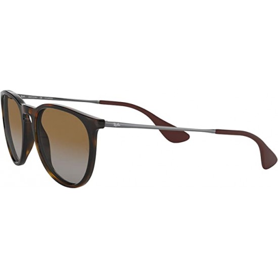 Ray-Ban RB4171 Erika Round Sunglasses