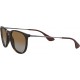 Ray-Ban RB4171 Erika Round Sunglasses