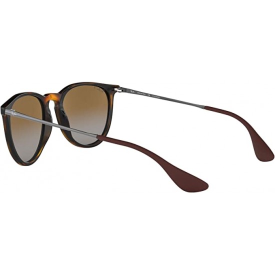 Ray-Ban RB4171 Erika Round Sunglasses