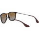 Ray-Ban RB4171 Erika Round Sunglasses